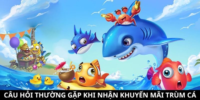 Khuyến Mãi Trùm Cá - Tổng Hợp Các Ưu Đãi Siêu Hấp Dẫn 12 Câu hỏi thường gặp