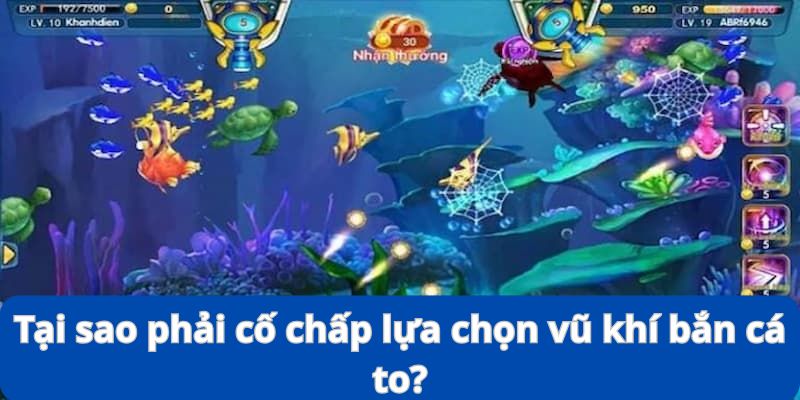 Lựa Chọn Vũ Khí Bắn Cá To - Kinh Nghiệm Đi Săn Siêu Đỉnh 9 Bạn có nên cố chấp để săn cho bằng được chú cá to hay không?