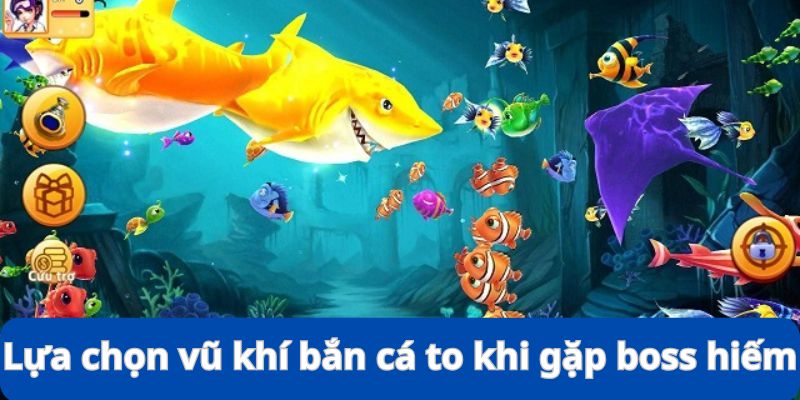 Lựa Chọn Vũ Khí Bắn Cá To - Kinh Nghiệm Đi Săn Siêu Đỉnh 10 Lựa chọn vũ khí bắn cá to khi gặp mục tiêu hiếm