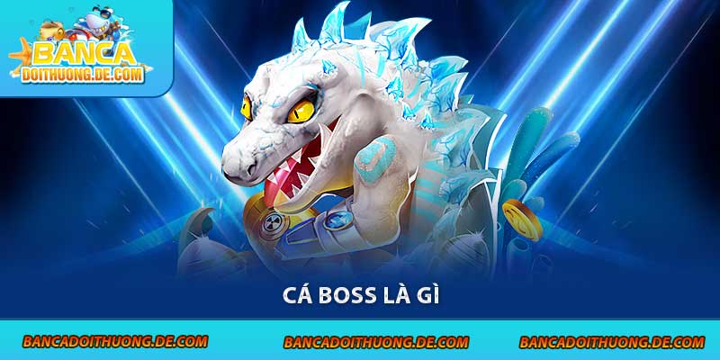 Cá boss là gì